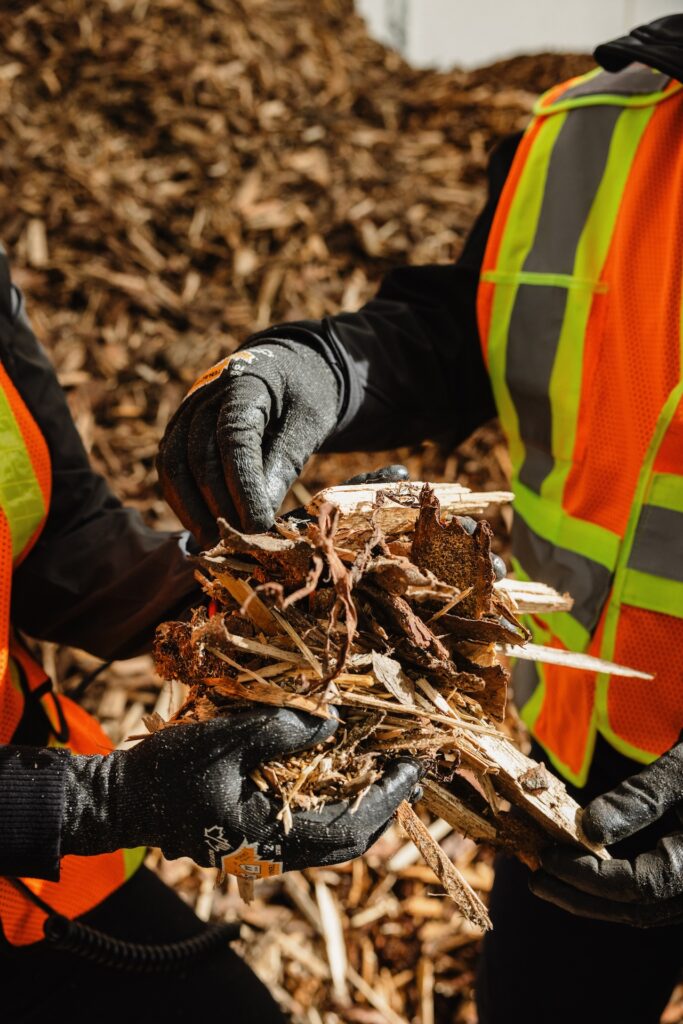 Two people hold feedstock wood chips